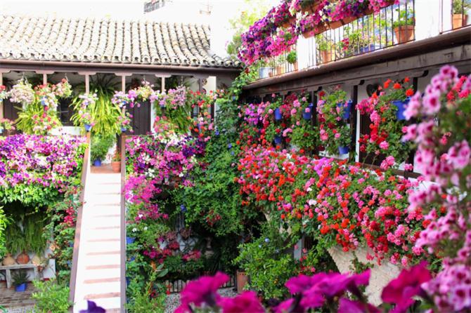 Apartamentos Los Patios De San Agustin 科爾多瓦 外观 照片